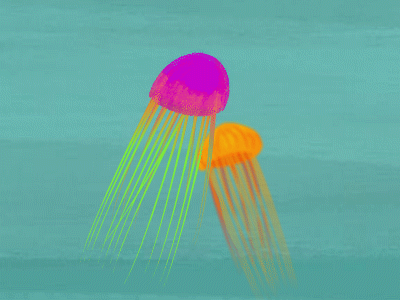 Jelly fish