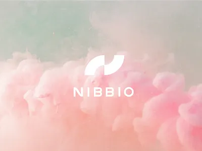 Nibbio | Brand ai artificial intelligence brand branding clouds colorful flying identity logo typography
