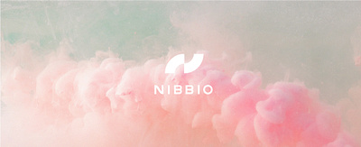 Nibbio | Brand ai artificial intelligence brand branding clouds colorful flying identity logo typography