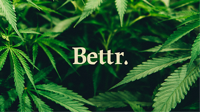 Bettr better cbd hemp identity logo