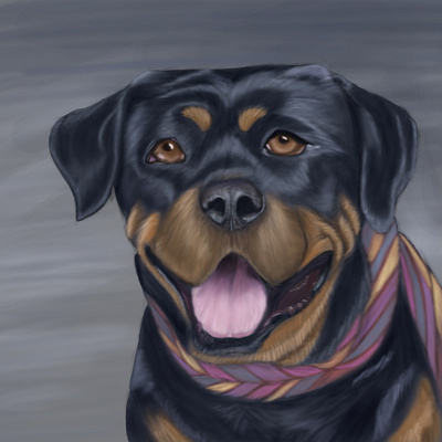 Dog animal colorful digital art digital illustration digital painting digitalart dog doglover drawing faithful painting photoshop sketch