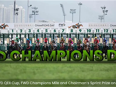 HORSE RACING BANNER animation app design graphic design illustration illustrator minimal typography ui