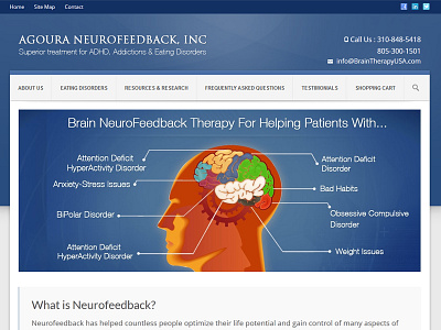 Website Design - Agoura Neurofeedback branding creative design design homepage ui ui ux web designer webdesign website design