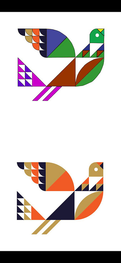 BIRD ILLUSTRATER illustration