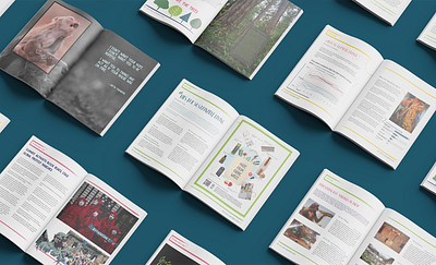 Eco Echo Magazine design illustration magazine design minimal publication sustainable