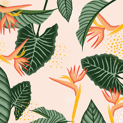 Kulia Skincare Floral Illustration branding floral hawaii illustration plants skincare tropical