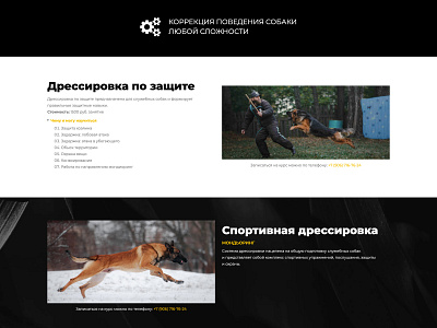 Defense Training | Don-Breme black dark defense design dog dogs gray price school site sport text training trainings ui ux web web design web development white