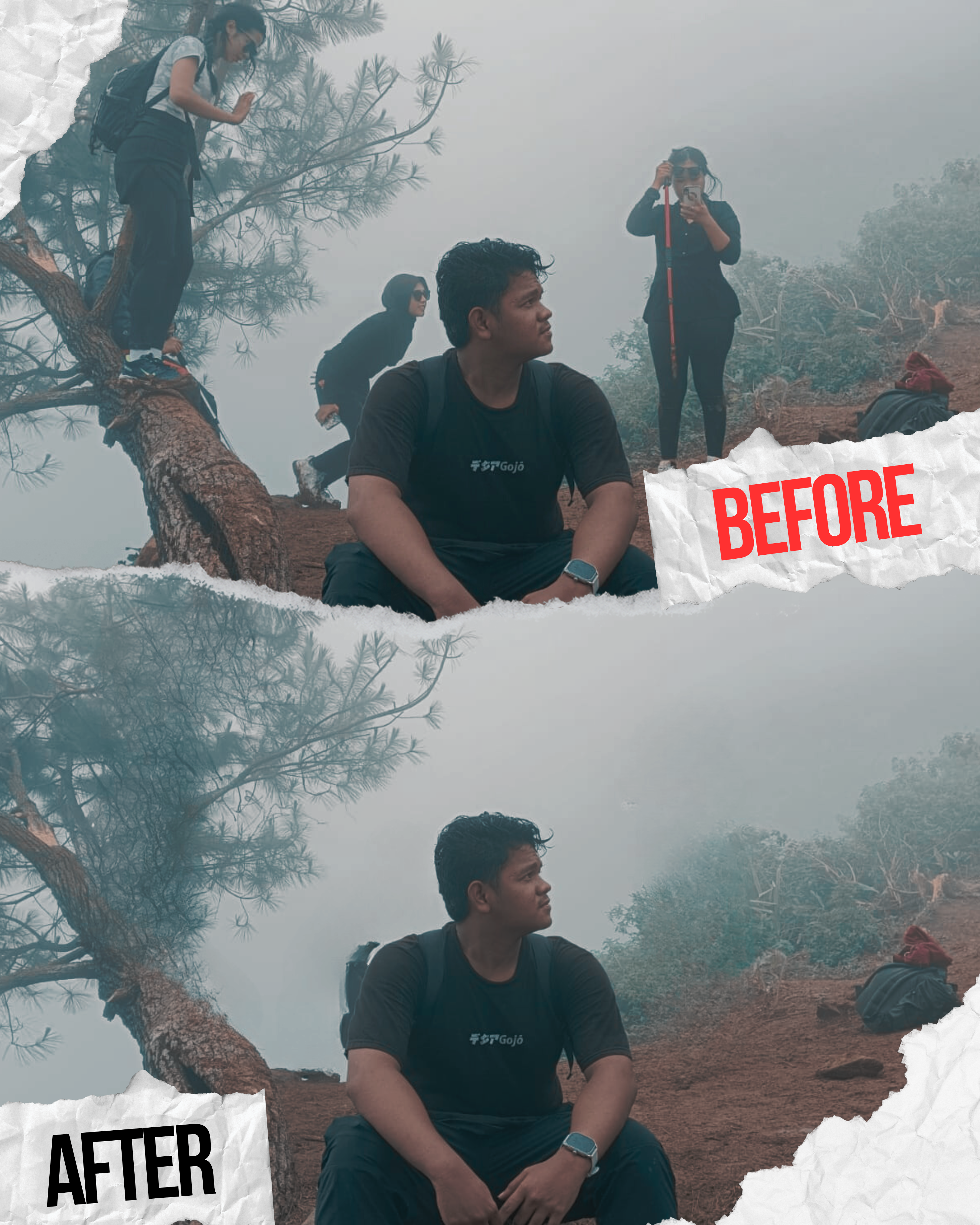 Remove Object canva design graphic design object remove remove