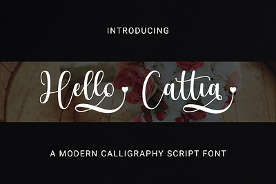 Hello Cattia Font branding caligraphy design font font design handlettering handwriting illustration monoline typography