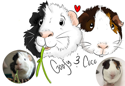 Cartooning Pets - Goofy and Coco caricature cartoon cartooning digital art guinea pigs illustration illustrations pets portrait