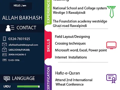 Curriculum Vitae app art branding design flat graphic design minimal typography vector web