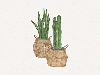 potted plant pastel style illustration chocolate decoration flower flower illustration garden home homecare illustration indoor plant plant illustration pot