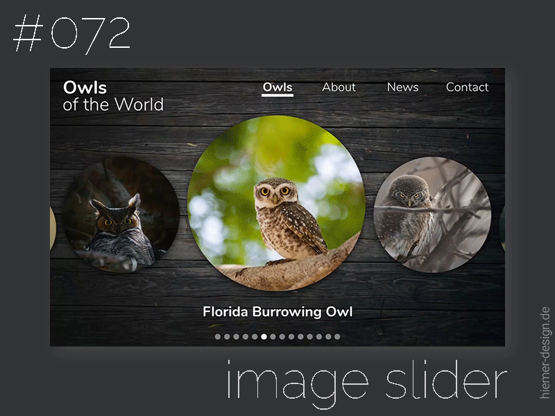Daily UI 072 animated gif circle slider daily ui daily ui 072 dailyui dailyui 72 dailyui072 dailyuichallenge gif image slider imageslider invision invisionstudio owls silder gif slider uidesigner webdesign webpage
