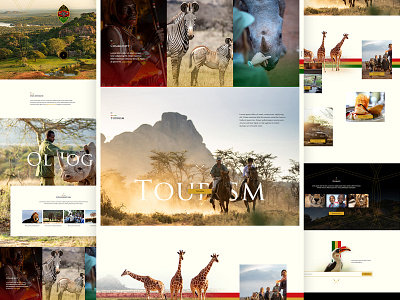 Ol Jogi landing nature outdoors tourism travel ui ux wildlife