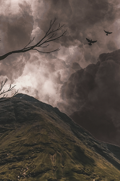 Hill, cloud and bird manipulation. bird character cloud cloudy sky design hill imac image editing image manipulation manipulation manipulation art photo manipulation photoshop photoshop manipulation poster design tree