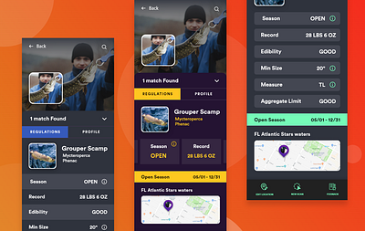 Fisher verify App app design fish fish app fisherman fisherman app fishing app fishing art fishing events fishing seasons interaction design user experience ux design