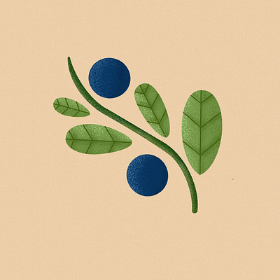 Blueberry art blueberry botanical botany colors design flat fruits illustration minimal nature plants textures