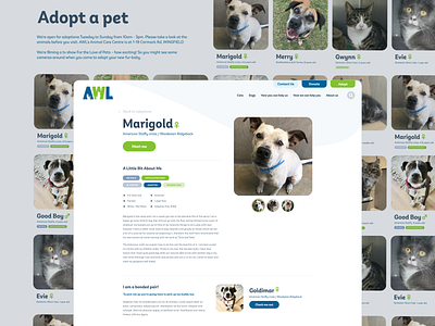 Adoption Page | Animal Welfare League adopt animal design donate gallery graphic design grid landing page layout pet typography ui ui design ux ux design web design web development