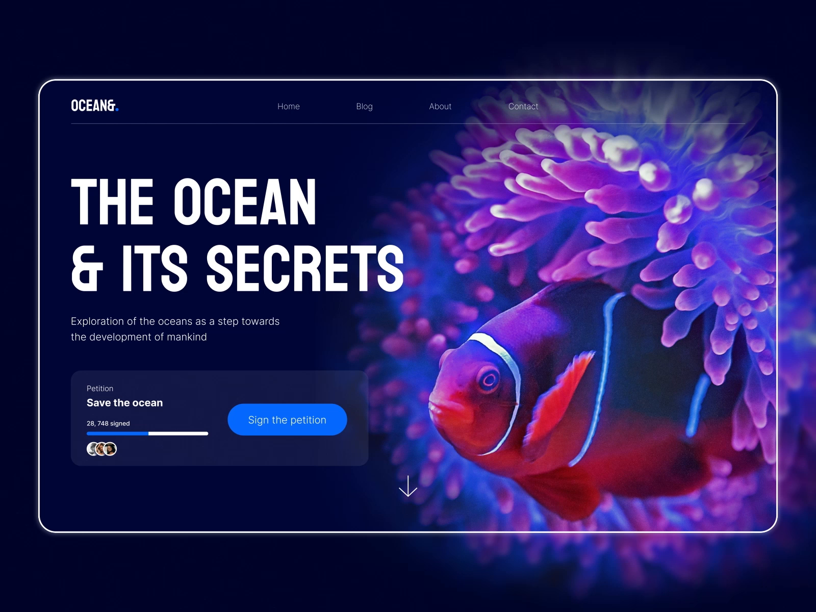 Landing Page | Ocean&