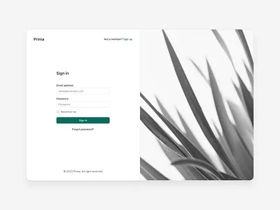 Sign in - Prima button component component library components design system green input field login platform sign in sign up signin ui ui kit uikit uilibrary ux