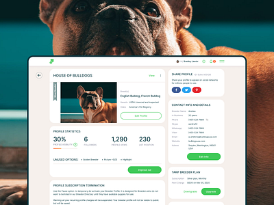 Puppy search for breeders and adoption 🐶 web portal ad animals dashboard dogs promotion ui uiux web web app web design