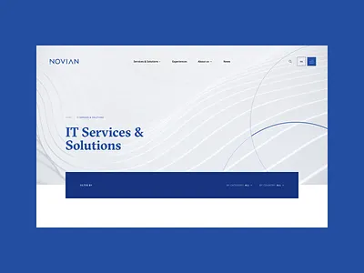Novian | Website blue company corporate digital infrastructure it modern scheme software solutions technology website