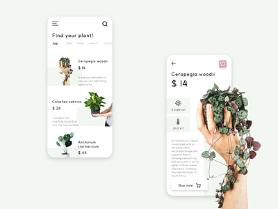 Plant shop by Milo Solutions design ecommerce ecommerce design plants ui ui design ui mobile uiux ux ux design uxdesign