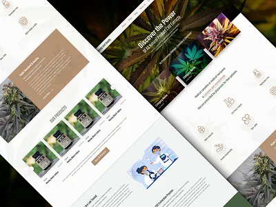 Hemp and Seeds - Online CBD Store Design cannabis cannabis design cbd cbd oil cbd store e commerce e commerce shop ecommerce ecommerce design hemp hemp oil seeds store store design web web shop website woocomerce