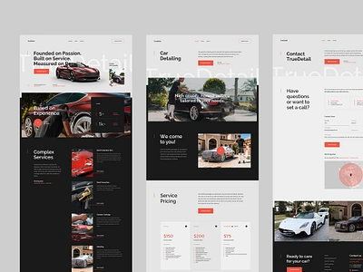 #2 - TrueDetail automotive branding car design detaling logo minimalism mobile redesign ui ux vehicle webdesign website