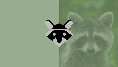 Logo raccon creative design draw logo vector