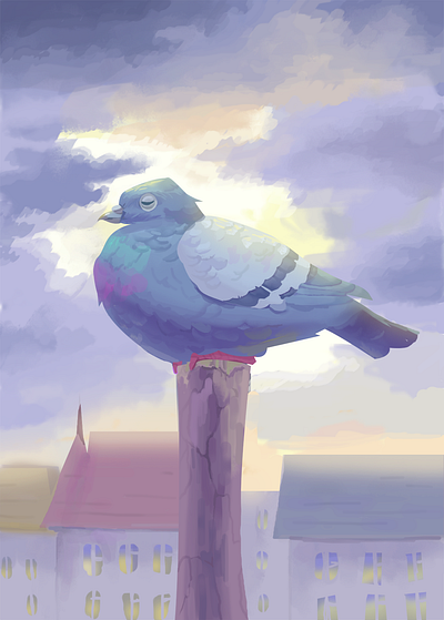 Pigeon animal art digitalart pigeon