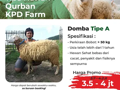 selling sheep adha adobe xd design eid al adha graphic design instagram instagram post marketing selling vector xd design