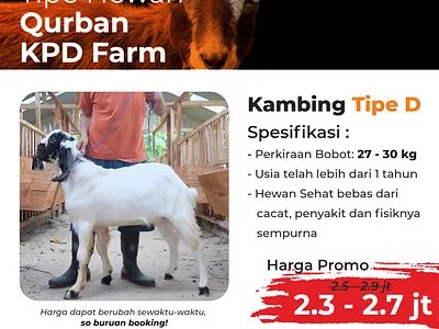 goat adobe xd design goat graphic design instagram instagram post livestock marketing social media design vector xd design