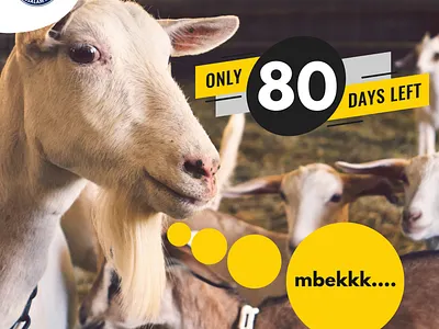 only days left adobe xd design graphic design instagram instagram post social media design vector xd design