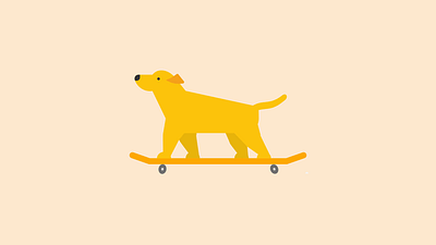 Dog Skating 2d 2danimation adobeaftereffects adobeillustrator animation illustration motion graphics vector