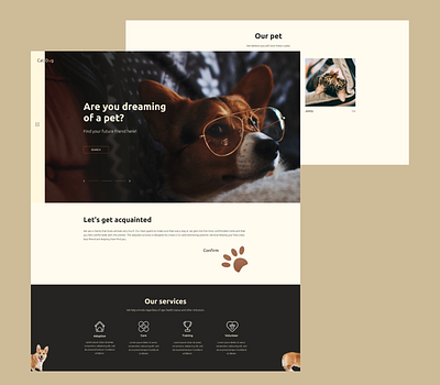 Website for animal shelter 🐾 animals cats design dogs minimal shelter ui ux web webdesign website