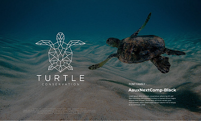 TURTLE CONSERVATION animals black branding conservation design flat geometric graphic design illustration logo logo design minimal minimalist logo modern save turtle ui unique white