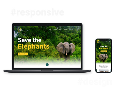 Responsive Mockup branding design ui ux web website