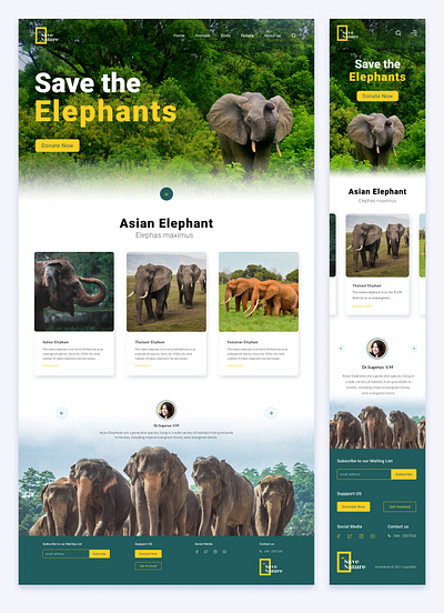 Responsive design design ui ux web