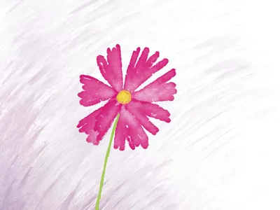 Flower flower illustration procreate watercolor