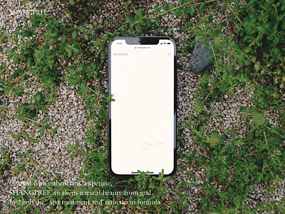 Shangpree Hompage animation beauty cosmetic digital branding interaction mobile motion responsive ui uiux web webdesign website