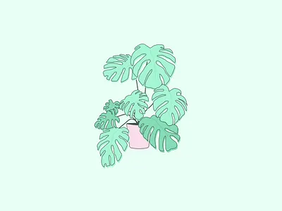 Monstera Illustration art green illustration monstera pink plant