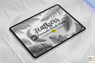 Procreate Brush Stamp Set Feathers aesthetic feathers illustration line art procreate procreate art procreate brushes product design stamp