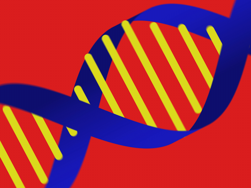 dna animation animated dna dna dna animation dna looping animation dna molecule