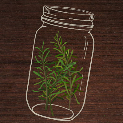 57C36BF2 960F 4ABC B943 FB594708CBD7 illustration