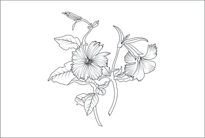 beautiful flower one line art beautiful flower one line art color line art continuous line art flower flower line art graphic design illustrator design line art illustration minimalist line art one line art one line drawing