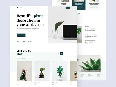 Plant Shop Landing Page bold typography clean design garden landing page nature plant plant care shop ui ui design uiux ux website