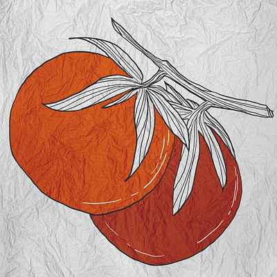 Line illustration