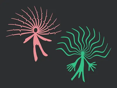 The N'Dhala People Calender tribal