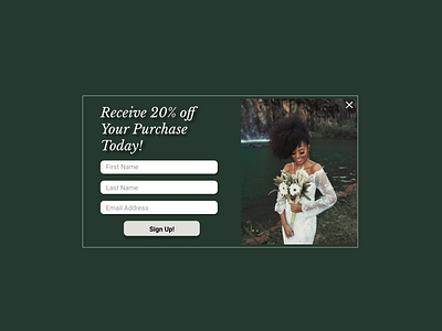 Daily UI Day 16- Pop Up/ Overlay daily 100 challenge dailyui dailyuichallenge day 16 design illustration overlay popup user experience uxui